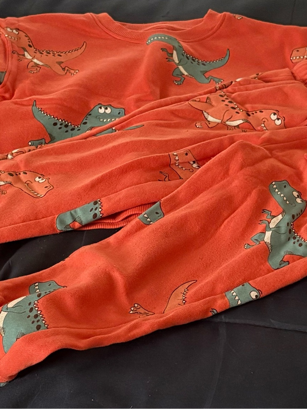 Kids Dino Print Set